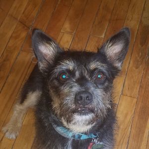 Meet your Posher, Kelley